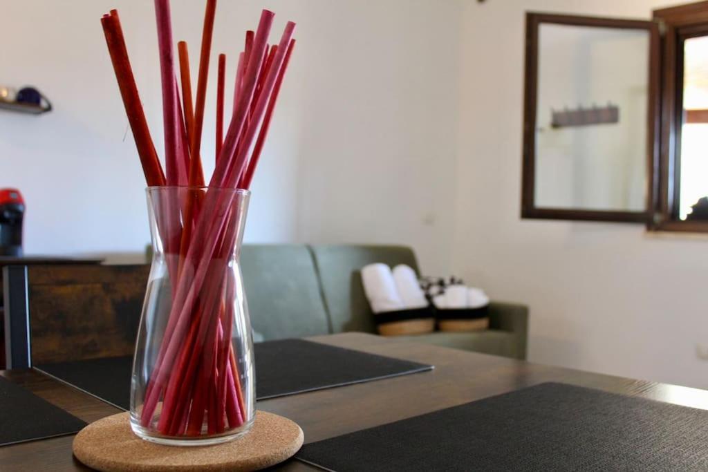 Ferienwohnung The Garden House Fco, Self Check In And Free Private Parking Fiumicino Exterior foto